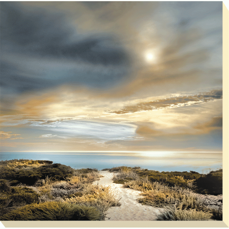 William Vanscoy Sense Of Direction Canvas Print